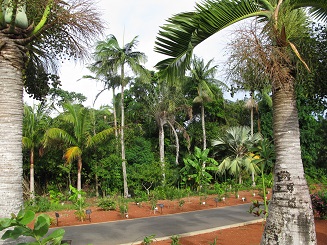 38_p08.jpg