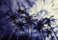 38_p02.jpg