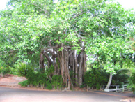 38_p04.jpg