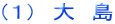 （１）　大島