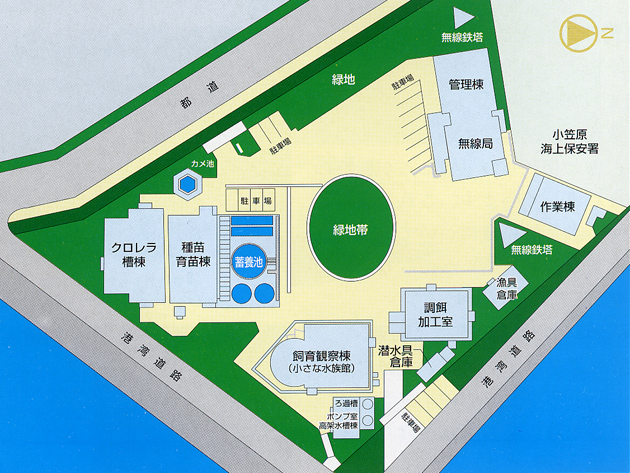 小笠原水産センター案内図