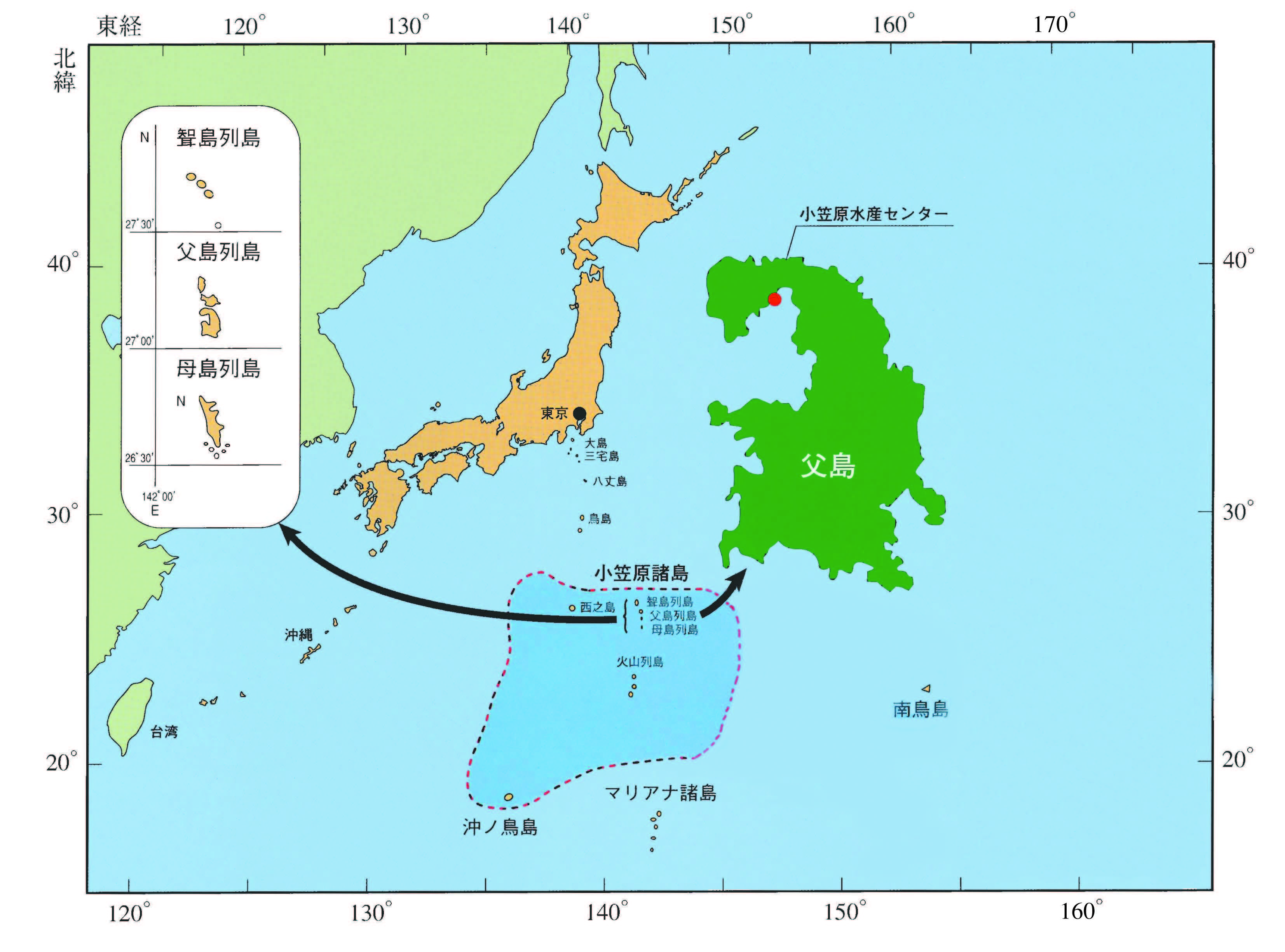 興洋」のご紹介|漁業調査指導船「興洋」|東京都小笠原支庁 興洋」のご紹介|漁業調査指導船「興洋」|東京都小笠原支庁