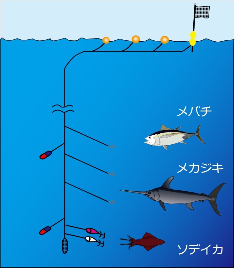 たて縄漁法イメージ