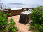 47hahajima_p03.jpg