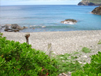 47hahajima_p12.jpg