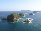 47hahajima_p24.jpg