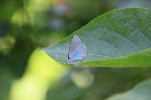 65_p01.jpg