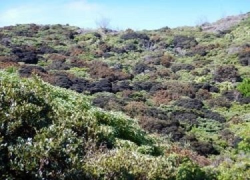 63_p04.jpg