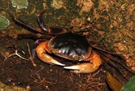64_p09.jpg