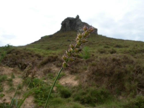 57_p10.JPG