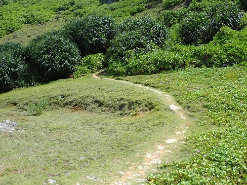57_p09.JPG