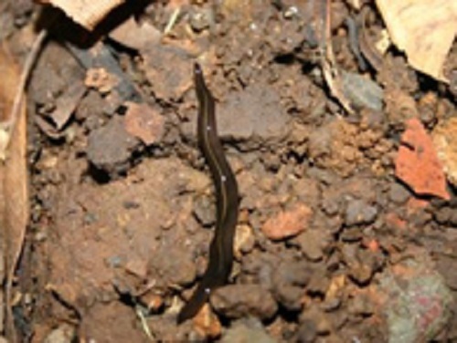 56_p02.jpg