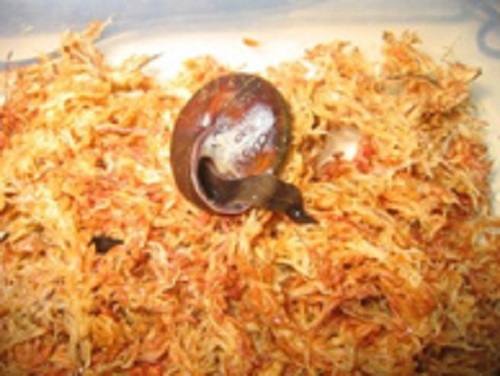 56_p03.jpg