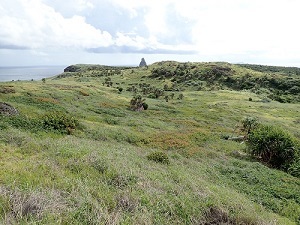 54_p11.JPG