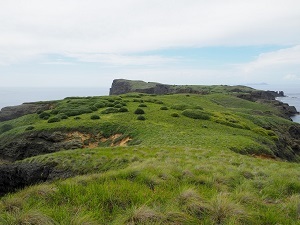 54_p13.JPG
