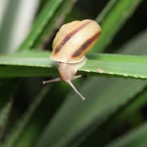 54_p14.jpg