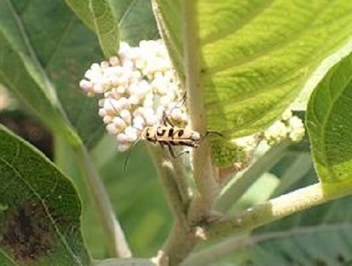 54_p15.jpg