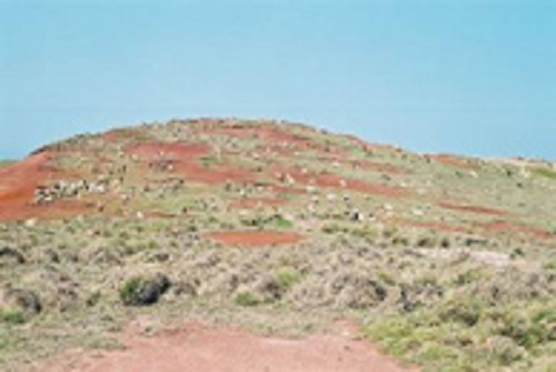 54_p01.jpg
