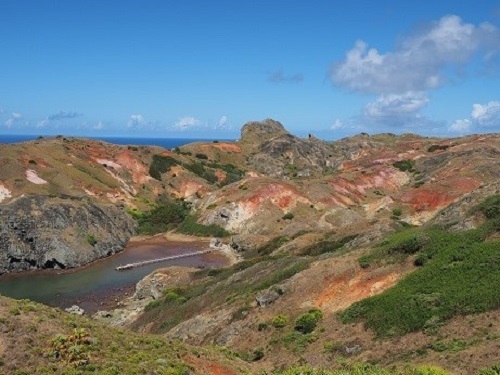 54_p17.jpg