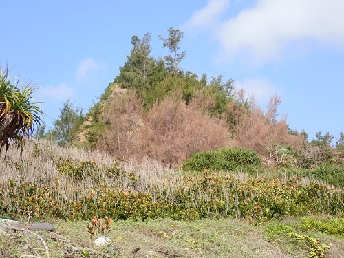 55_p06.JPG