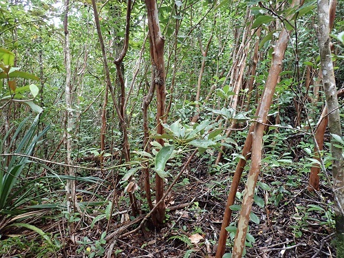 55_p08.JPG