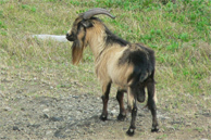 53_p01.jpg