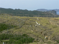 53_p03.jpg
