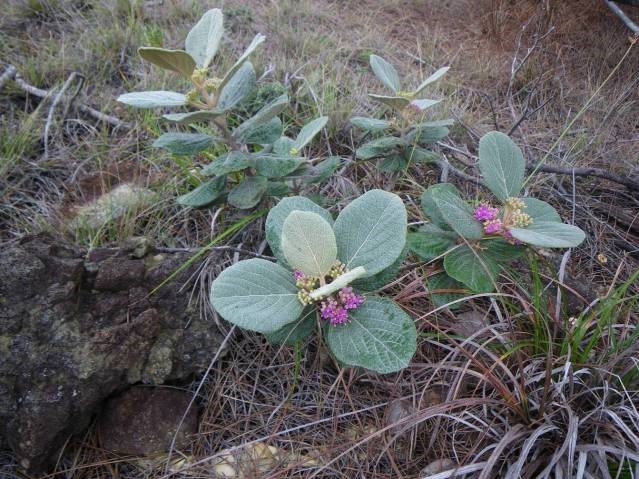 53_p11.jpg