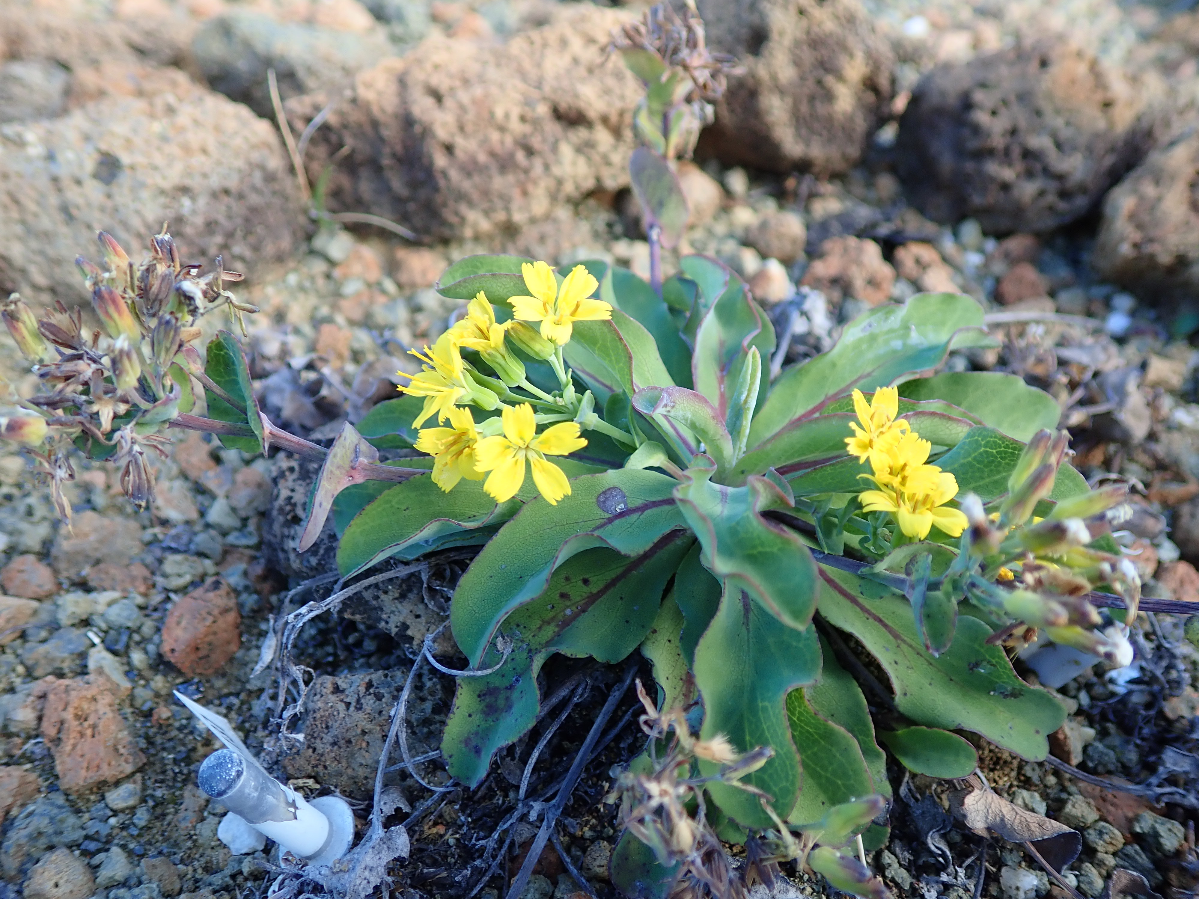 53_p12.JPG