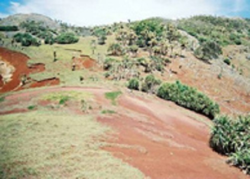 54_p04.jpg