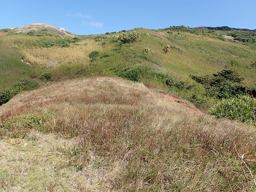 53_p13.JPG