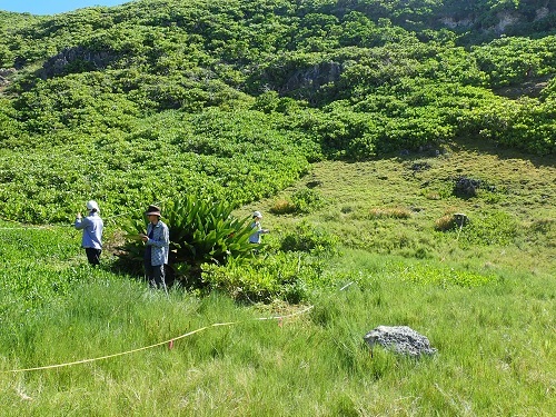 20_p08.JPG
