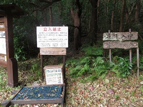 20_p09.jpg