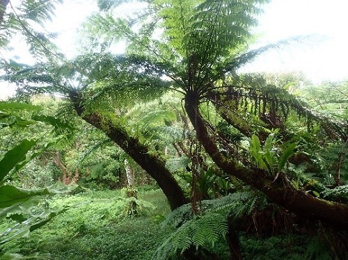 20_p10.jpg