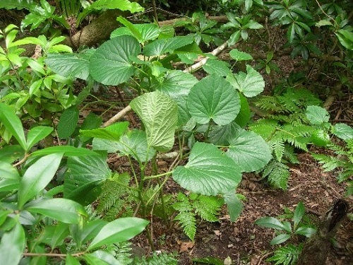 20_p12.jpg