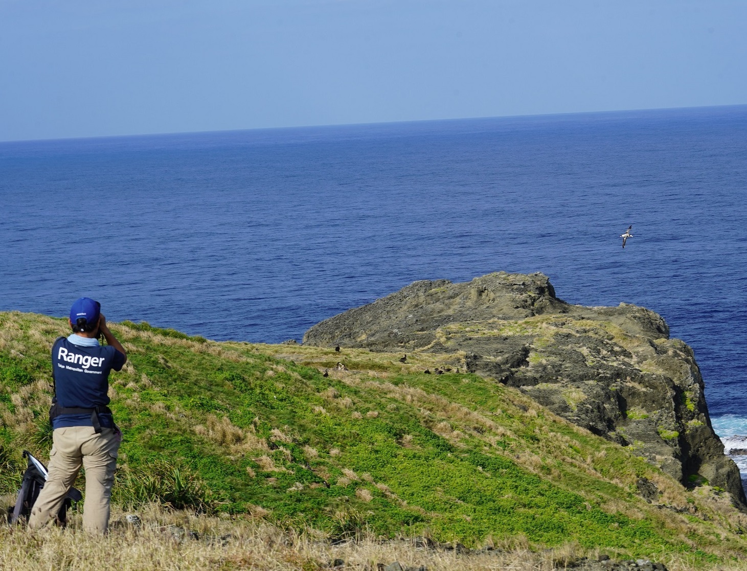 DSC08399.JPG