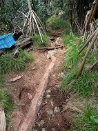 写真9-3_近自然工法による歩道整備.JPG