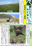 60_p10.jpg