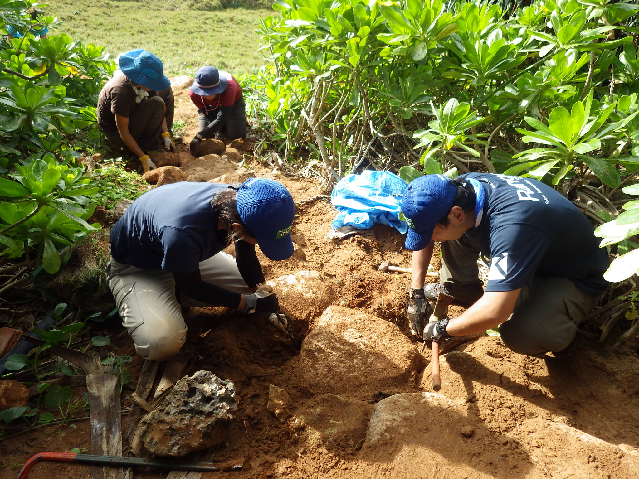 201211_2.jpg