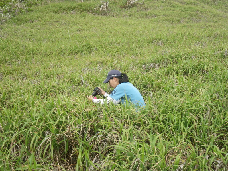 201203_2.jpg