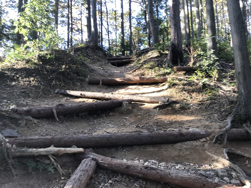 201204_03.jpg