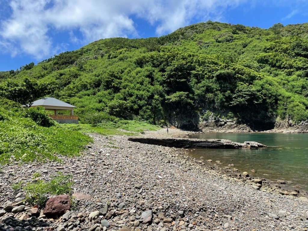 220916北港ツヤオオズアリ対策①.JPG