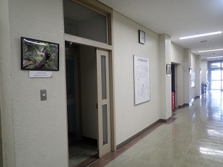 220516kumamoto1.JPG