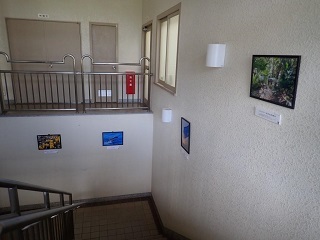 220516kumamoto2.JPG