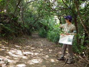 topics_130418.jpg