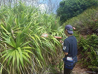topics_140908.jpg