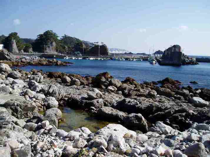 足付温泉から見た式根島港