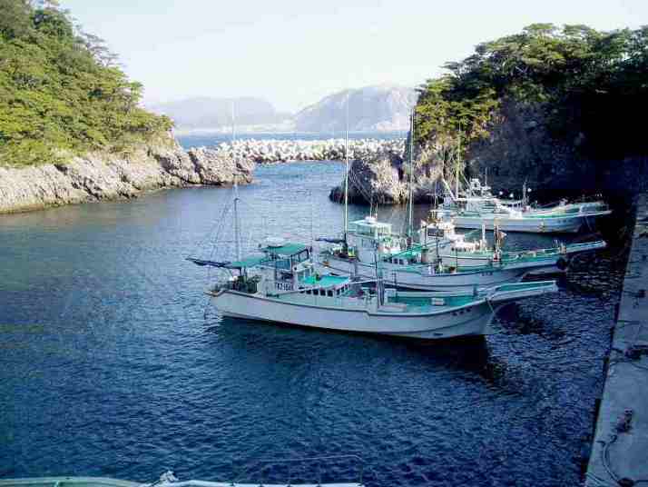小浜漁港