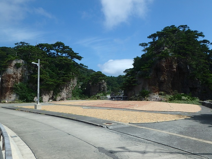式根島港　天草干し
